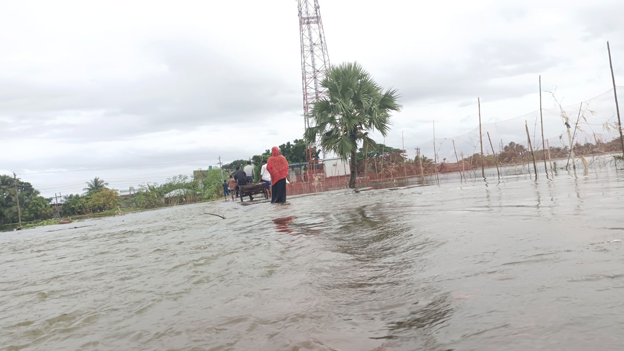 সাতক্ষীরায় কৃষি ও মৎস্য খাতে ক্ষতি ৭০০ কোটি টাকা